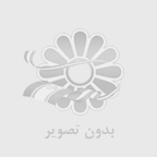 درآمد وبلاگ نویسان معروف